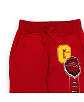 Harry Potter Toddler Boys Gryffindor Slytherin Hufflepuff Ravenclaw Fleece 2 Pack Jogger Pants to