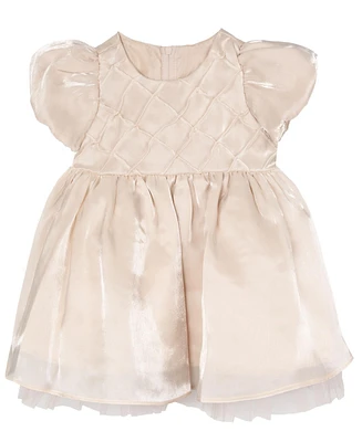 Rare Editions Baby Girls Shimmer Organza Social Dress