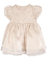 Rare Editions Baby Girl Shimmer Organza Social Dress