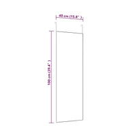 vidaXL Door Mirror Gold 15.7"x39.4" Glass and Aluminum