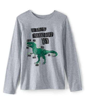 Lands' End Boys Long Sleeve Graphic Tee