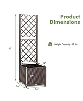 Skonyon Raised Garden Bed with Trellis Planter Box for Climbing Plants -Brown