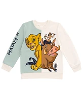 Disney Boys Lion King Mickey Mouse Cars Toy Story Sweatshirt to (2T