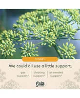 Gaia Herbs Gas & Bloating - Provides Relief from Occasional Gas and Bloating