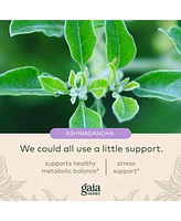 Gaia Herbs Thyroid Support - Made with Ashwagandha, Kelp, Brown Seaweed, and Schisandra to Support Healthy Metabolic Balance and Overall Well-Being