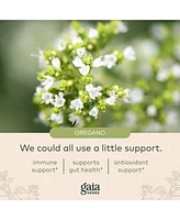 Gaia Herbs Oil of Oregano - Immune and Antioxidant Support Supplement to Help Sustain Overall Well-Being - With Oregano Oil, Carvacrol, and Thymol