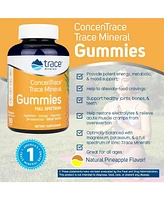 Trace Minerals ConcenTrace Chewable Gummies Full Spectrum | Provide Potent Energy, Metabolic & Mood Support | Healthy Joints Bones and Teeth | Natural