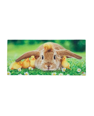 Evergreen Bunny and Duckling Sassafras Indoor Outdoor Switch Doormat 1'10"x10" Multicolored