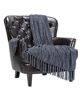 Chanasya Premium Chenille Fringe Throw Blanket - Velvet Soft with Shimmer and Tassels