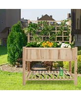 Givimo Raised Garden Bed Elevated Wooden Planter Box with Trellis