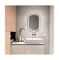 Safavieh Crosby Led Mirror