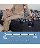 Serta Perfect Sleeper X Excelled Extra Firm 13.75" Quilted Hybrid Mattress
