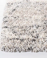 Safavieh Fontana Shag FNT886F 2'x3' Area Rug