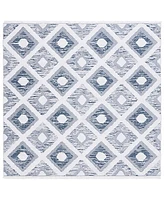 Safavieh Augustine AGT730N 6'4"x6'4" Square Area Rug