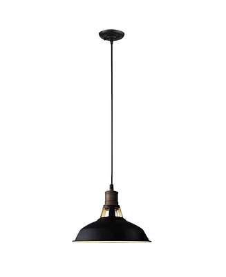 Moose Industrial Black Barn Pendant Light - 1-Light Loft Fixture