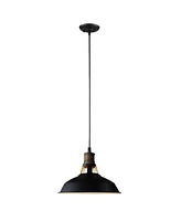 Moose Industrial Black Barn Pendant Light - 1-Light Loft Fixture