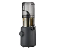 Hurom H310 Personal Easy Clean Slow Juicer