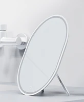 Sharper Image SpaStudio Heated Shower Mirror