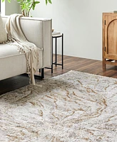 Livabliss Andorra Plus Arp-2300 5'3"x7'3" Area Rug