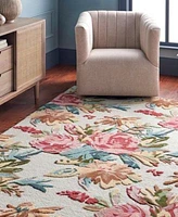 Livabliss Shindig 495727 Rug Collection