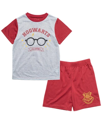 Harry Potter Boys Gryffindor Hufflepuff Ravenclaw Slytherin Pajama Shirt and Shorts Sleep Set to