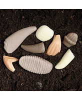 Yellow Door Sensory Prehistoric Teeth Stones and Activity Cards Set