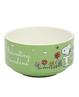 Peanuts Snoopy 6 Pack Stackable 5.5" Decorated Stoneware Bowl Set W/ Plate