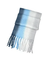 Club Rochelier Ombre Stripe Scarf