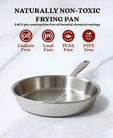 Alva Maestro 11" 5-Ply Stainless Steel Frying Pan Skillet, Non-Toxic Pfas, Pfoa & Ptfe Free, Compatible with All Cooktops Induction Safe, Oven Safe