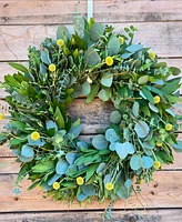 GreenishBlu Bayleaf, Baby Blue Eucalyptus, Rosemary, Curly Willow and Yellow Billy Balls Real Aromatic Wreath, 22"