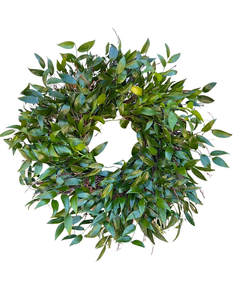 GreenishBlu Long Lasting Italian Ruscus Real Wreath, 22"