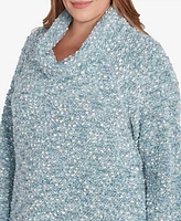 Ruby Rd. Plus Size Cowl Neck Cozy Boucle Knit Top