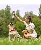 Rae Dunn 2-Pack Small Bone Rope Dog Toys with Squeakers, Featuring 'Woof' and 'Dogs All Over' Print