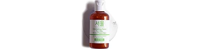 Seoul Ceuticals Exfoliating Toner for Oily Acne