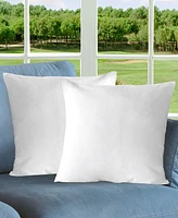Cheer Collection 2-Pack Pillow Insert