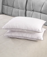 Cheer Collection Soft and Silky Cotton Kapok 2-Pack Pillows