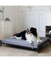 Kopeks Raised Dog Bed With Frame