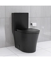 Matte Black Elongated One Piece Toilet Dual Flush 1.1/1.6 Gpf Water Saving Map 1000g, Matte Black