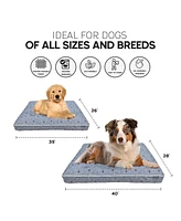 Paw & Decor Paws and Decor Orthopedic Dog Bed, Pet Bed to Support Dogs Joint Health, Paws and Dots Pattern