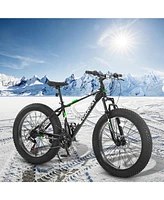 Streamdale Furniture Elecony 26 Inch Fat Tire Bike Adult/Youth Full Shimano 21 Speed Mountain Bike, Dual Disc Brake, High