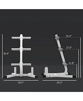 Streamdale Furniture 2-inch Weight Rack for Plates and 3 Bars, Olympic Weight Tree Bumper Plate Storage Holder, 660 lbs. Capacity, White