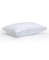 Claritin Ultimate Allergen Barrier Firm Density Gusset Pillow, King