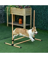 Streamdale Furniture 6 Piece Dog Agility Training Equipment with Hurdle Bag and Whistle, Orange and White