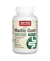 Jarrow Formulas Nutrition Mastic Gum 1 000 mg