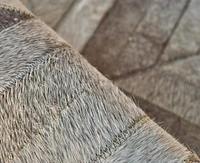 Exquisite Rugs Natural Hide 5'x8' Area Rug