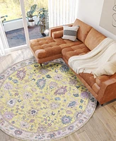 Dalyn Hatay Washable HY7 8'x8' Round Area Rug
