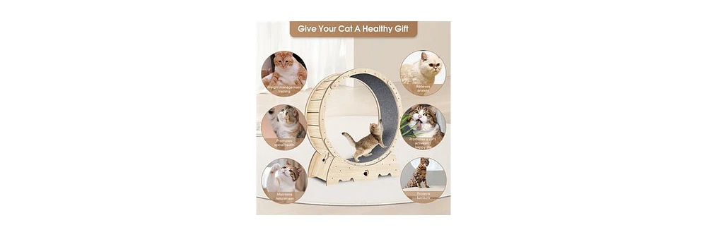 Slickblue Cat Exercise Wheel for Indoor Cats – Carpeted Running Wheel, Fitness Treadmill for Healthy Weight Loss, 37"