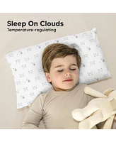 Cuddly Toddler Pillow with Pillowcase, 13X18 Kids for Sleeping, Small Travel Pillows, Nursery