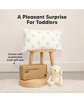 Cuddly Toddler Pillow with Pillowcase, 13X18 Kids for Sleeping, Small Travel Pillows, Nursery