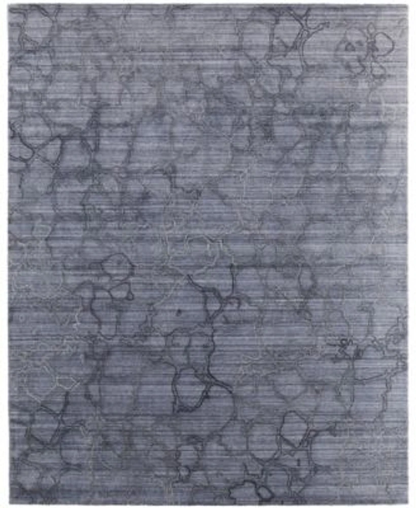 Feizy Whitton 8892f Rug Collection